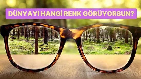 Sen Dünyayı Hangi Renk Görüyorsun?