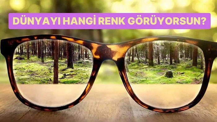 Sen Dünyayı Hangi Renk Görüyorsun?