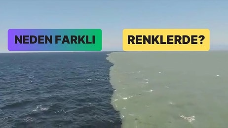 Ortamlarda Satmalık Bilgi: Okyanus Suları Neden Farklı Yerlerde Farklı Renkte Görünür?