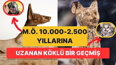 Tarih Öncesi Dönemlerden Günümüze: Evcilleştirilmiş Antik Hayvanları İnceliyoruz