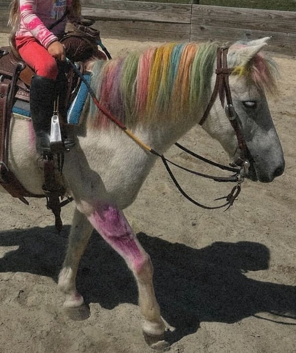 Fakat maalesef pamuk kızın yüzünü, Gigi'nin bu paylaşımlarında da göremedik... Bu gidişle Khai 18'ine basınca ancak yüzünü görebileceğiz gibi duruyor.