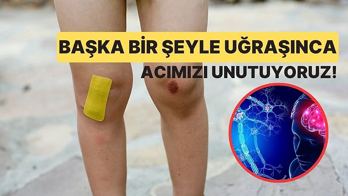 Başka Bir Şeyle Uğraşırken Yaşadığımız Acıyı Neden Unuturuz?