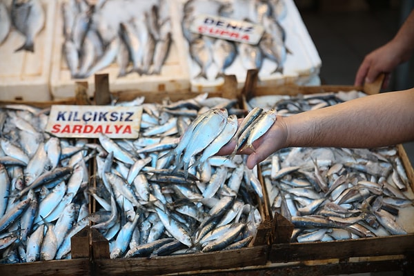 Sardalya da çok tercih edilen balıklardan.