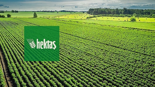 7. Hektaş Ticaret T.A.Ş. (HEKTS)