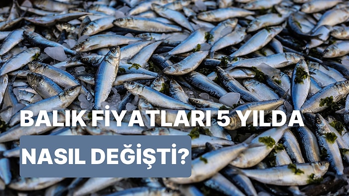 5 Yılda Balık Fiyatları Nasıl Değişti? İşte Balık Fiyatlarının 5 Yıl Önceki ve Günümüzdeki Değerleri