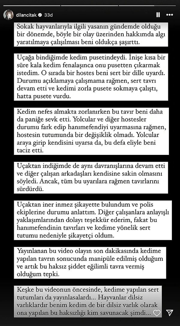 Sosyal medyada gündem olan görüntülerden sonra kedisi fenalaştığı için pusetten çıkardığını belirten Çıtak, hostesin de kendisini eliyle taciz ettiğini açıklamıştı.