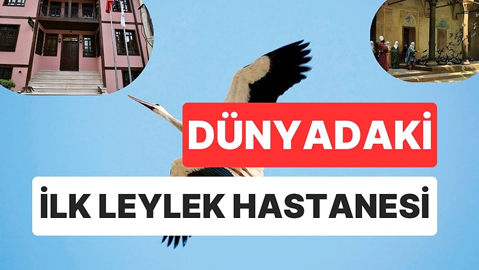 Bursa'da Osmanlı Mirası: Dünyanın İlk Leylek Hastanesi "Gurabahane-i Laklakan"