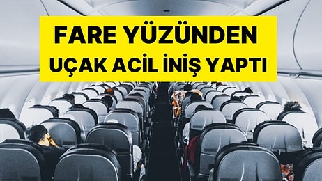 Yolcuları Panik Eden Olay! Yemeğin İçinden Fare Çıktı: Uçak Acil İniş Yaptı