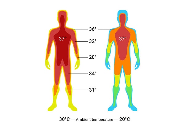 Peki 37°C ortam sıcaklığı neden bu kadar bunaltıcı geliyor? Normalde vücudumuz, dışarıdaki sıcaklık ile kendi sıcaklığı arasındaki fark sayesinde ısı transferi yapar.