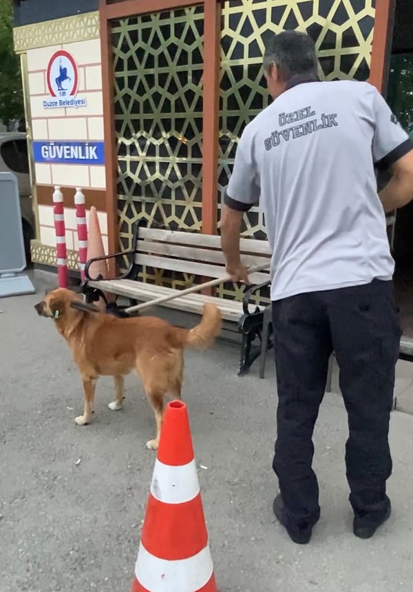 Her gün kendini taratmak için gelen tatlı köpeğe, koca yürekli özel güvenlik sıkılmadan vakit ayırıyor.