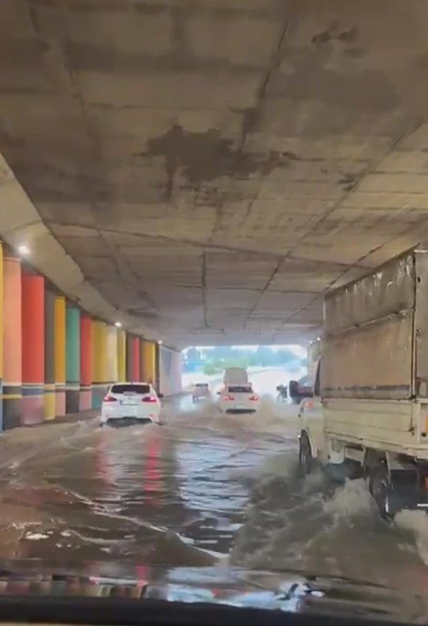 Merkez Çukurova ilçesi Kasım Ener Caddesi üzerinde bir ağaç, otomobilin üzerine devrildi.