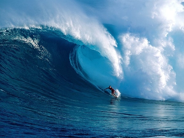 Behind the magnificent and powerful waves of the endless blue waters, there are multiple factors at play!