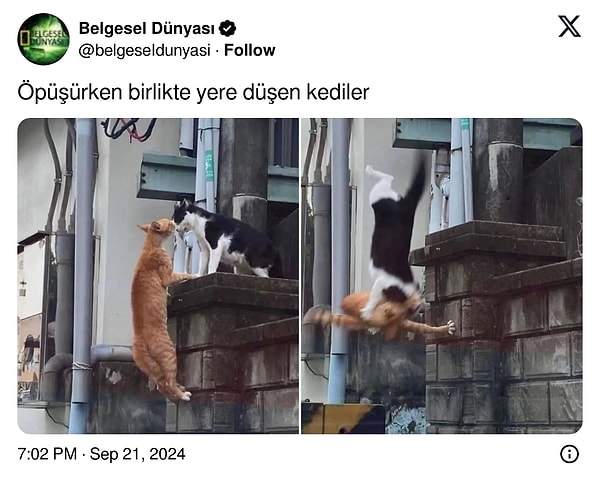 13. Yarın görüşürüz 👋