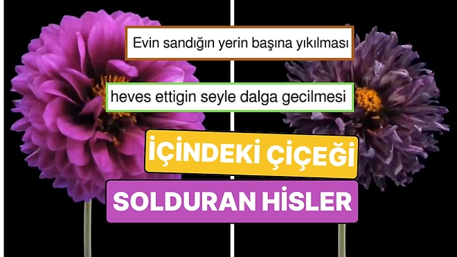 İçindeki Çiçeği Solduran Hisleri Tarif Ederek Tespitin Dibine Vuran Kişiler!