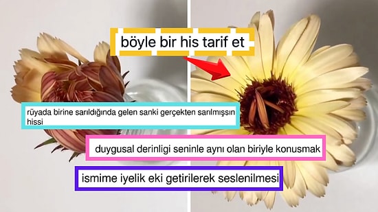 Ruhunda Çiçekler Açtıran Hisleri Tarif Ederek Kalbimize Dokunan Kişiler