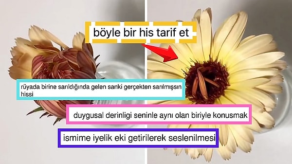 Twitter'da (X) bir kullanıcı takipçilerinden içinde çiçekler açtıran bir hissi tarif etmelerini istedi. Ortaya kalpleri ısıtan yorumlar çıktı.