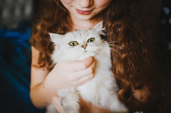 Cats also purr when they are injured or in pain.