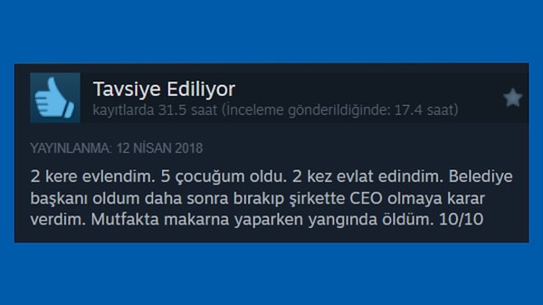 1. Hayallerimizdeki hayatı yaşamanın tek yolu çoğumuz için Sims oynamak maalesef.