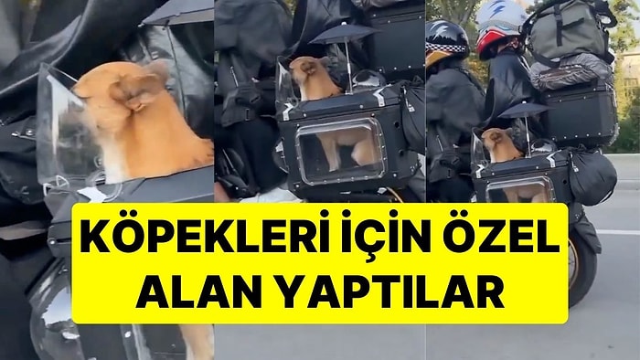 Motosikletli Çiftin Tatlı Yolculuğu: Köpekleri İçin Özel Alan Yaptılar