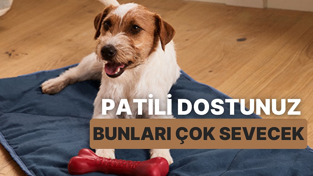 Patili Bir Dostla Yaşayanların Evinde Mutlaka Olması Gereken 10 Şey