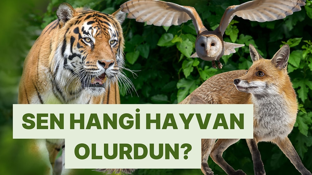 İnsan Olmasaydın Hangi Hayvan Olurdun?