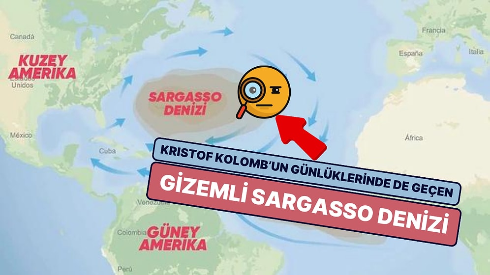 Kristof Kolomb'un Günlüklerinde de Geçen ve Hiçbir Kıyıya Sahip Olmayan Gizemli Deniz: Sargasso