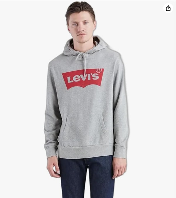 8. Levi's Graphic Pullover Hoodie Sweatshirts Erkek