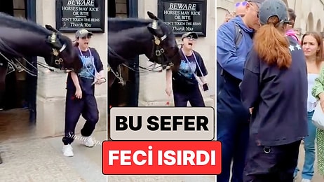 Çılgın Royal Atları Yine Bildiğiniz Gibi: Bir Kraliyet Atı Fotoğraf Çektirmek İsteyen Kadını Feci Isırdı