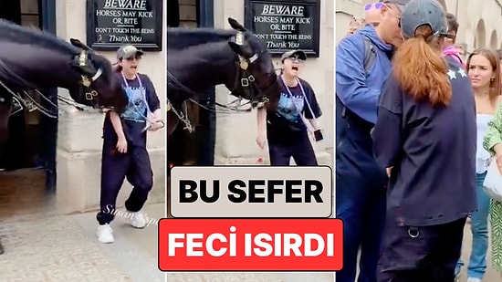 Çılgın Royal Atları Yine Bildiğiniz Gibi: Bir Kraliyet Atı Fotoğraf Çektirmek İsteyen Kadını Feci Isırdı