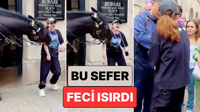 Çılgın Royal Atları Yine Bildiğiniz Gibi: Bir Kraliyet Atı Fotoğraf Çektirmek İsteyen Kadını Feci Isırdı