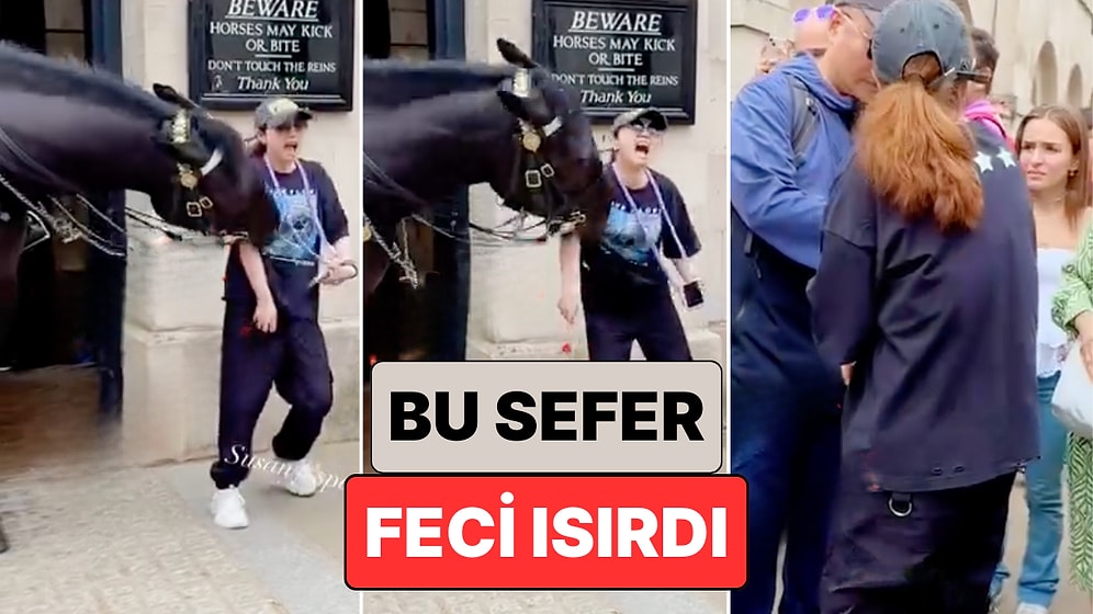Çılgın Royal Atları Yine Bildiğiniz Gibi: Bir Kraliyet Atı Fotoğraf Çektirmek İsteyen Kadını Feci Isırdı