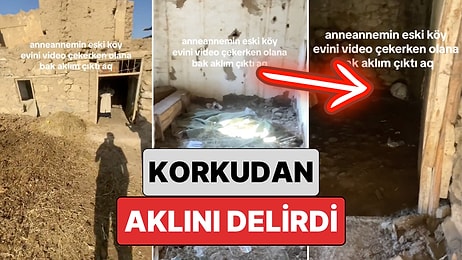 Büyüklerinin Gençken Yaşadığı Evi Ziyaret Eden Genç Evdeki Davetsiz Misafiri Görünce Korku Dolu Anlar Yaşadı