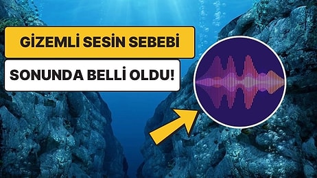 Uzaylı Sanmışlardı: Gezegenimizin En Derin Noktası Mariana Çukuru'ndaki Gizemli Sesin Sebebi Bulundu!