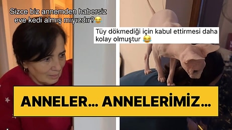 Annesinden Habersiz Kedi Sahiplenen Kadın, İkilinin İlk Tanışma Anını Paylaşmasıyla Kalpleri Eritti