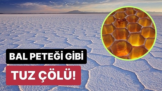Bilim İnsanları Bile Şaşkın: Tuz Çöllerinde Bal Peteği Desenleri Oluşmasının Sebebi Nedir?