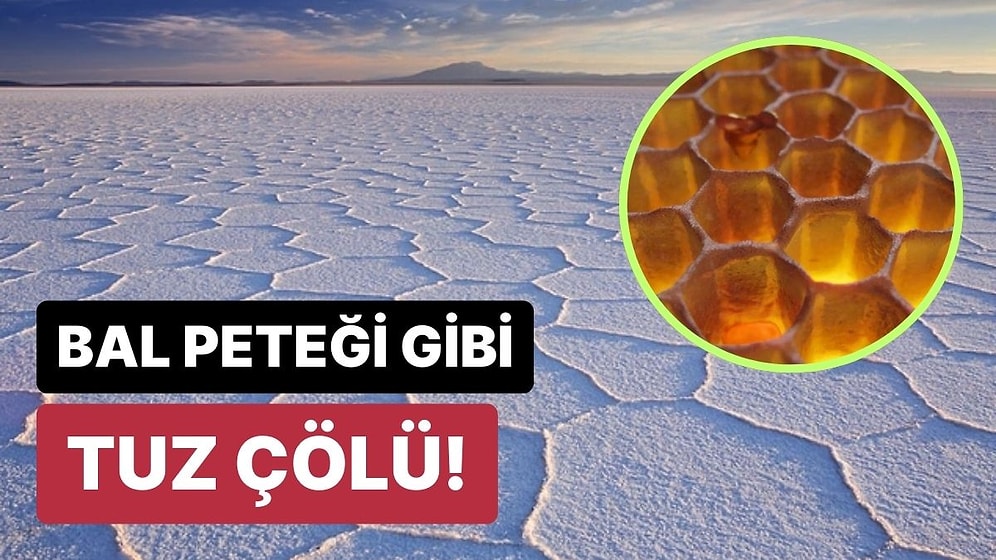 Bilim İnsanları Bile Şaşkın: Tuz Çöllerinde Bal Peteği Desenleri Oluşmasının Sebebi Nedir?