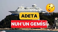 Güney Kore'de Uçurumun Tepesine İnşa Edilen Cruise Gemi Oteli