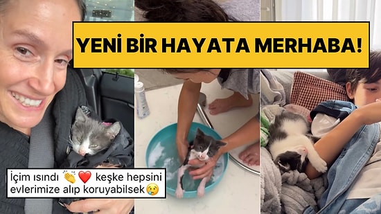 Sokakta Bulduğu Yavru Kediyi Sahiplenerek Ona Yeni Bir Hayat Sunan Kadın Kalpleri Eritti