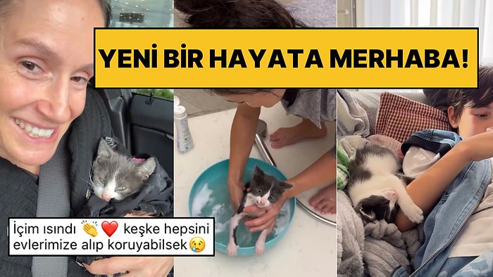 Sokakta Bulduğu Yavru Kediyi Sahiplenerek Ona Yeni Bir Hayat Sunan Kadın Kalpleri Eritti