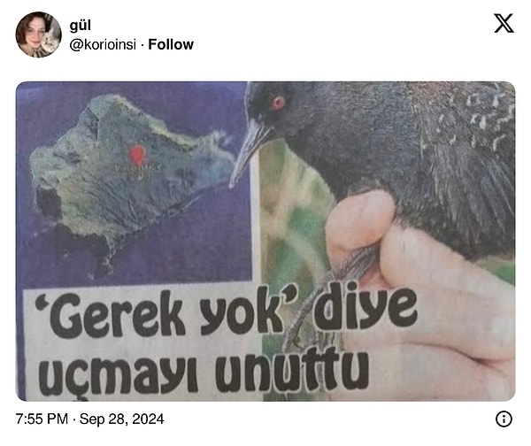 Gelen cevaplar hem güldürdü hem düşündürdü👇