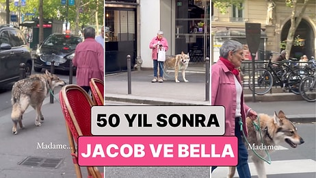 Jacob ve Bella? Paris Sokaklarında Evcil Kurduyla Dolaşan Kadın Görenleri Şaşkına Çevirdi