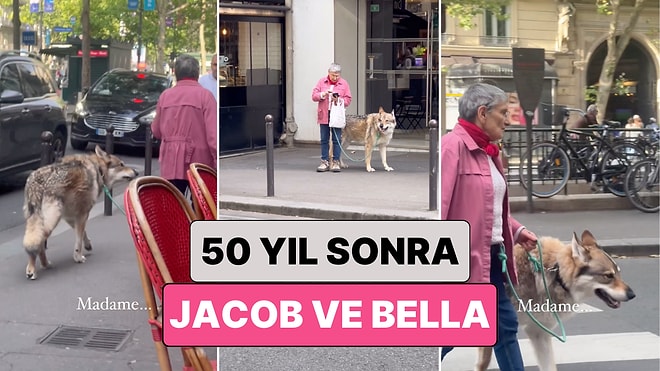 Jacob ve Bella? Paris Sokaklarında Evcil Kurduyla Dolaşan Kadın Görenleri Şaşkına Çevirdi