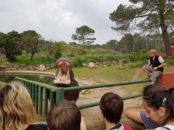 Bu trajik olay, Nijerya'daki hayvanat bahçelerinin düzenlenmesi ve vahşi hayvanların korunması konusundaki eksiklikleri bir kez daha gözler önüne serdi.