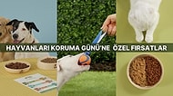 Hayvanlar Gününe Özel Mamadan Tasmaya Evcil Hayvan Ürünlerinde Harika Fırsatlar