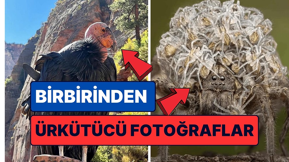 Doğanın Korkutucu Yüzünü İliklerinize Kadar Hissetmenize Sebep Olacak Birbirinden Ürkütücü 15 Yeni Fotoğraf