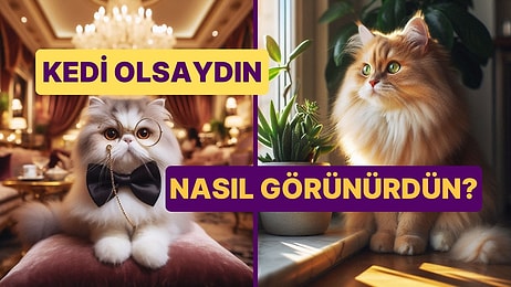 Burcuna Göre Sen Bir Kedi Olsaydın Nasıl Görünürdün?