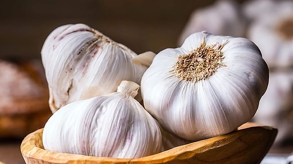 Sarımsak, tarih boyunca pek çok uygarlık tarafından şifa kaynağı olarak kullanıldı.