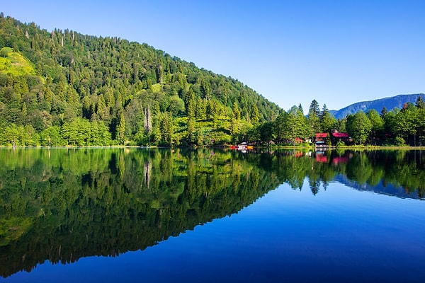 Rize'nin komşusu Artvin ise %81.6 ile dördüncü sırada...