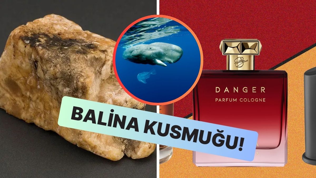 Parfümler Ana Maddesi: Ambergris - Onedio