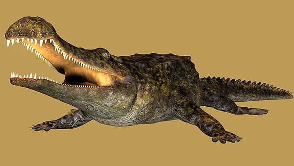 9. Sarcosuchus imperator: Süper Timsah